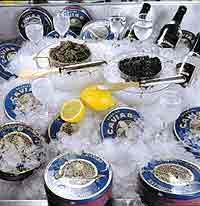 Caviar and vodka